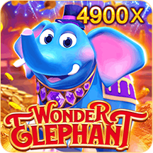 Wonder Elephant