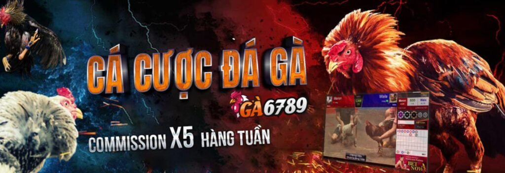 cá cược thomo