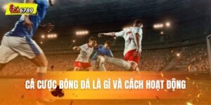 cá cược bóng đá